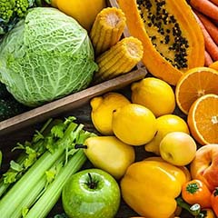 Princípios ativos antioxidantes