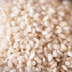 Extrato de Arroz Coreano Orgânico