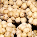 Extrato de Langsat