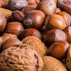 Vitamina E